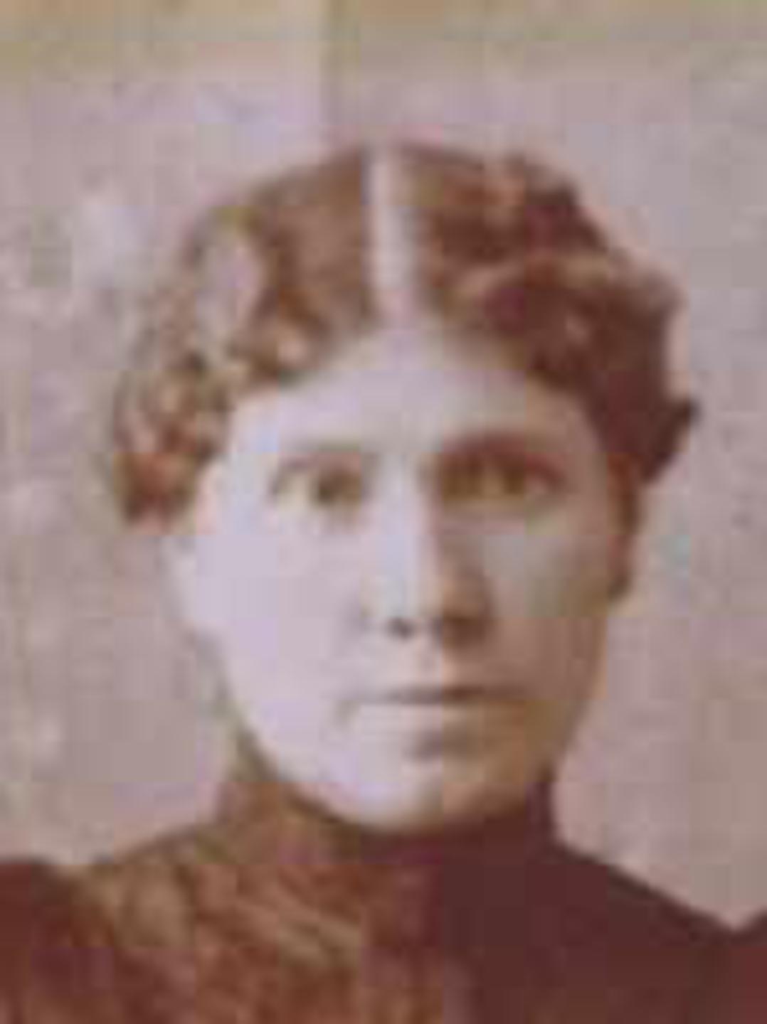 Mary Griffiths (1856 - 1931) Profile